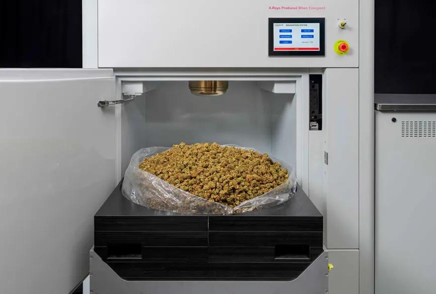 Rayos X es la tecnología preferida para descontaminar cannabis