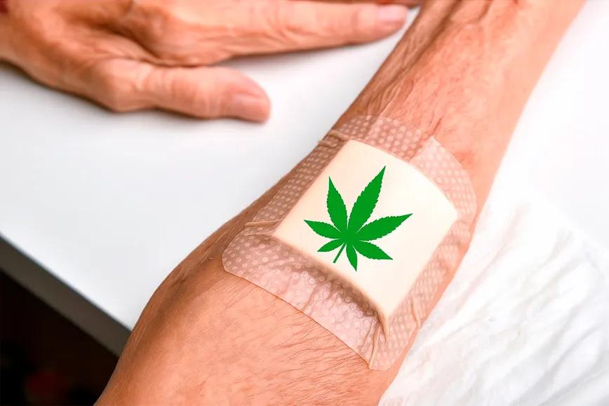 THC cicatrización pieles maduras