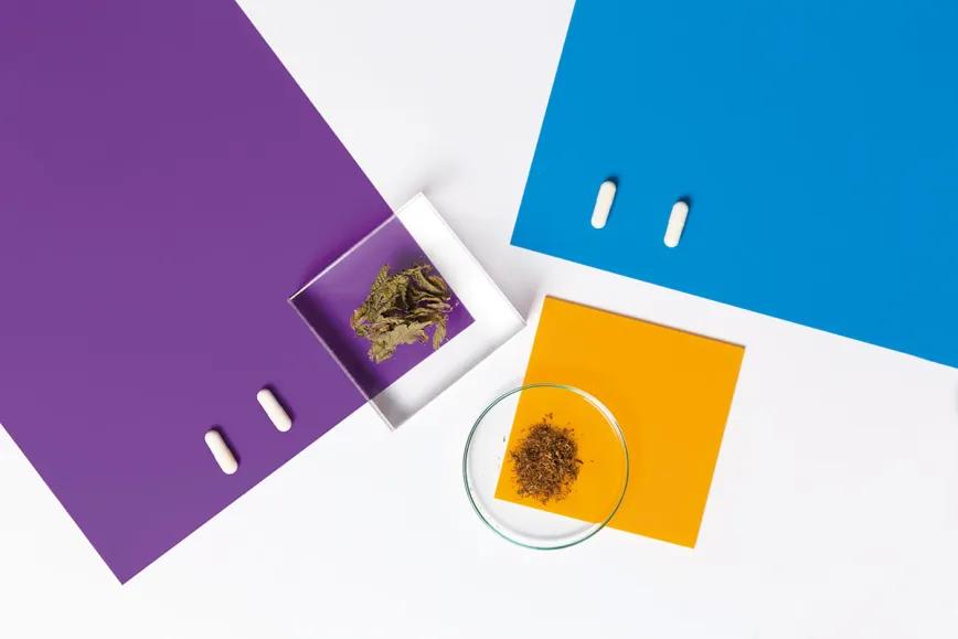 Noches de verano de ensueño