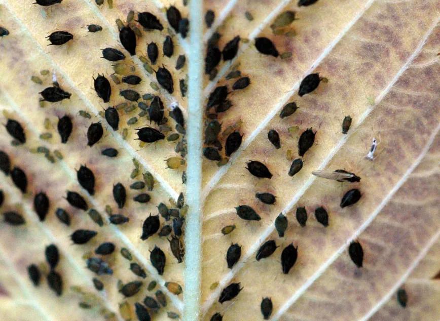 Los diez errores típicos del último mes y cómo evitarlos