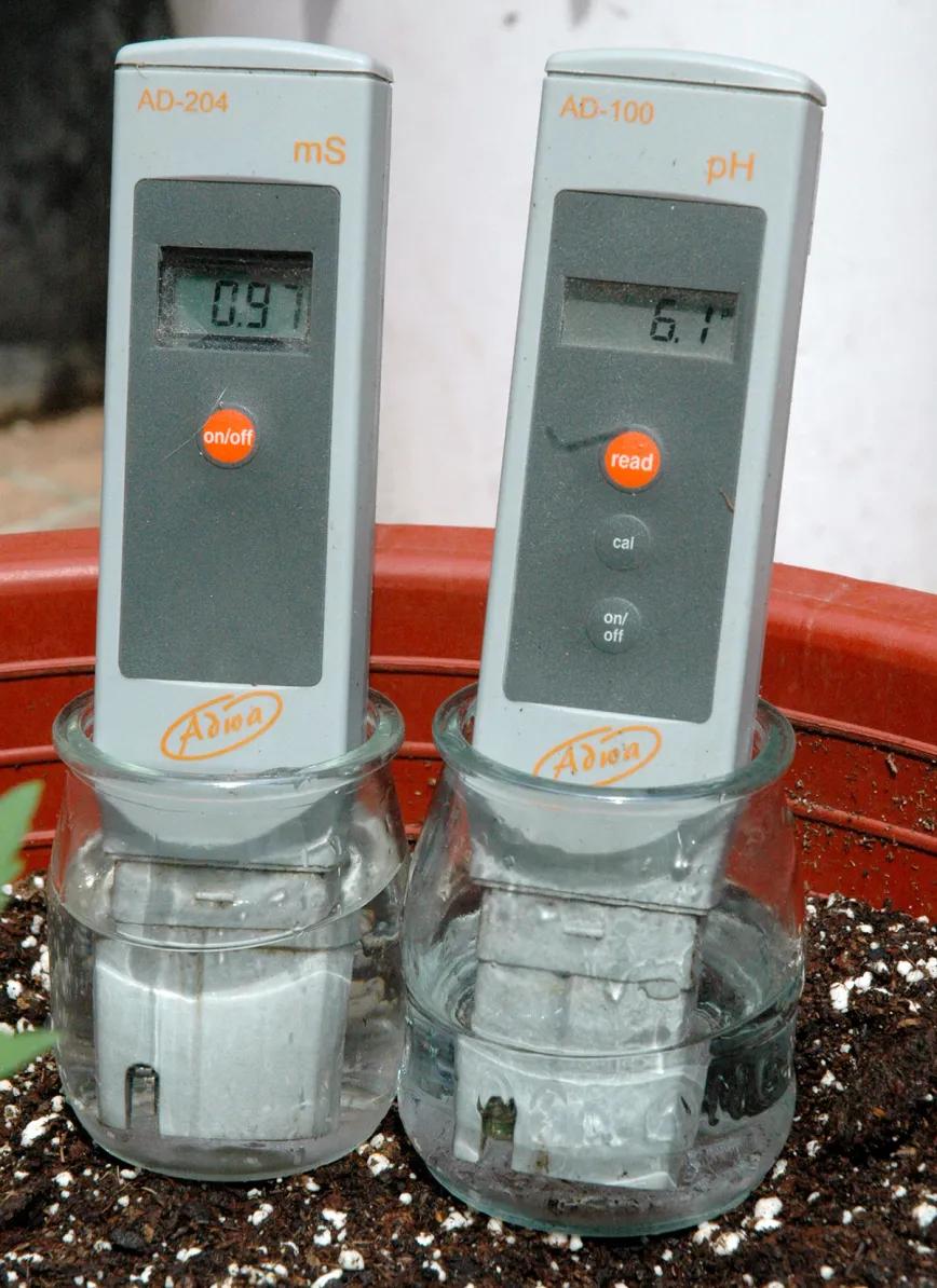 El agua en el cultivo: cómo influye el riego en las plantas 