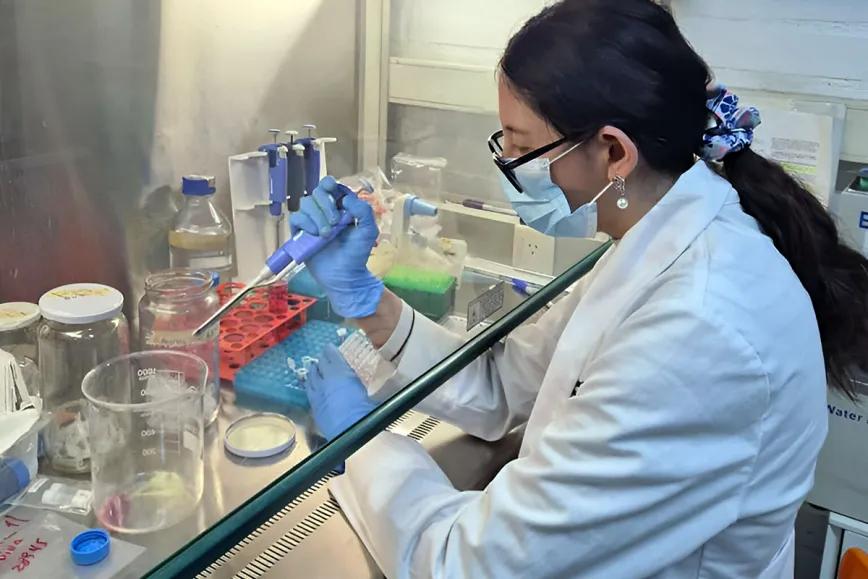 Desarrollan Nanoemulsión de CBD con potencial uso veterinario