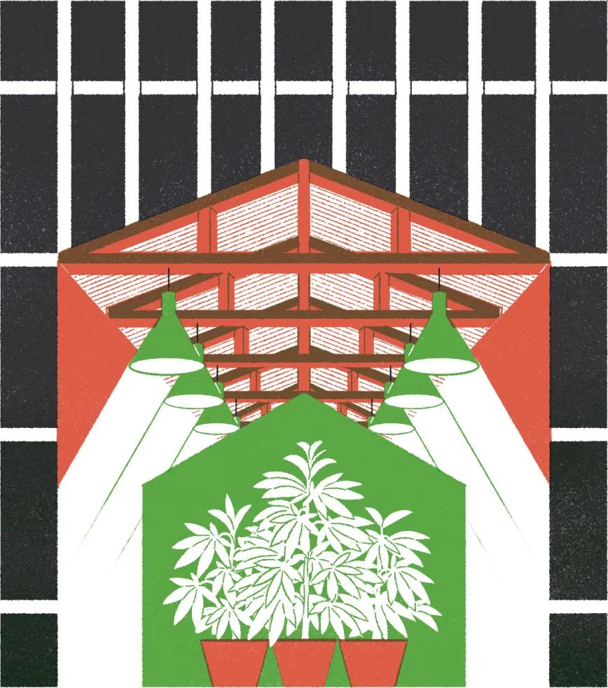 El tamaño sí importa. Consultorio Jurídico - Ilustración: Julio Fuentes