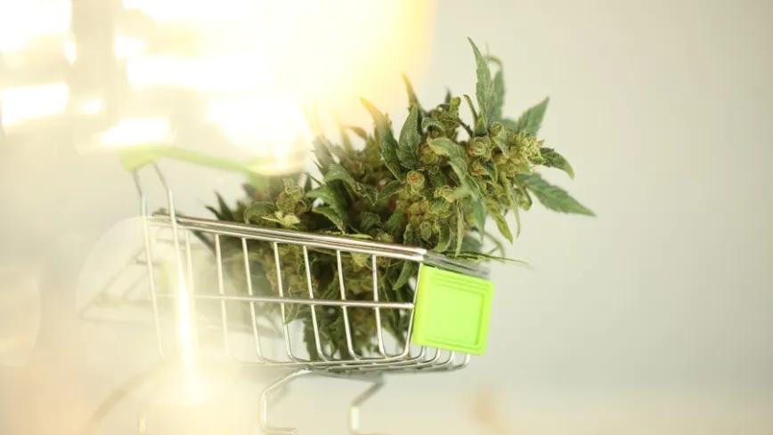 Ventas de cannabis en EE UU suman más de 2 mil millones de dólares en agosto