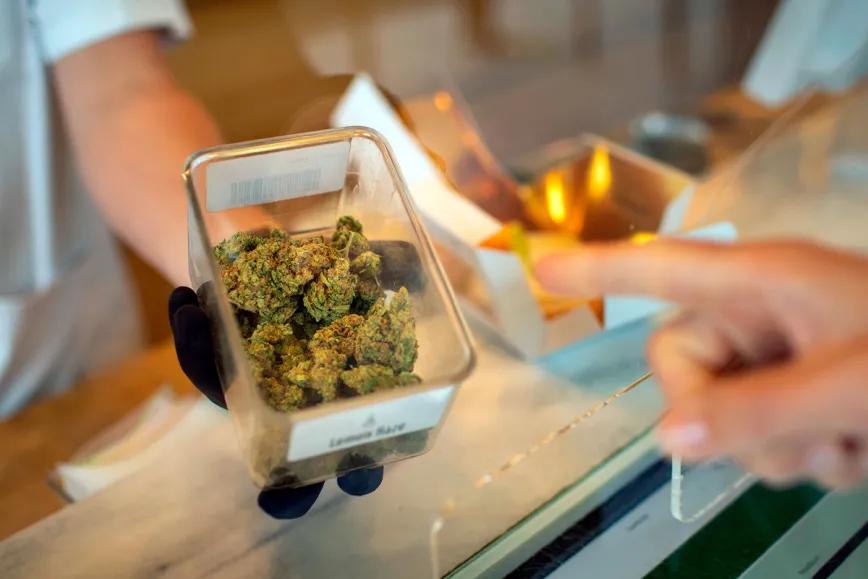 Coffeeshops de Leiden piden duplicar stock a 1.000 gramos