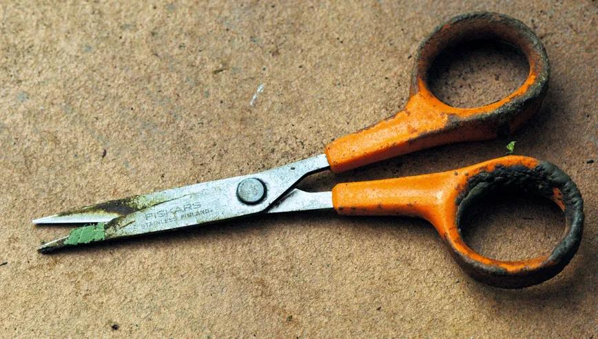 La cosecha perfecta en diez pasos: consejos y trucos de experto