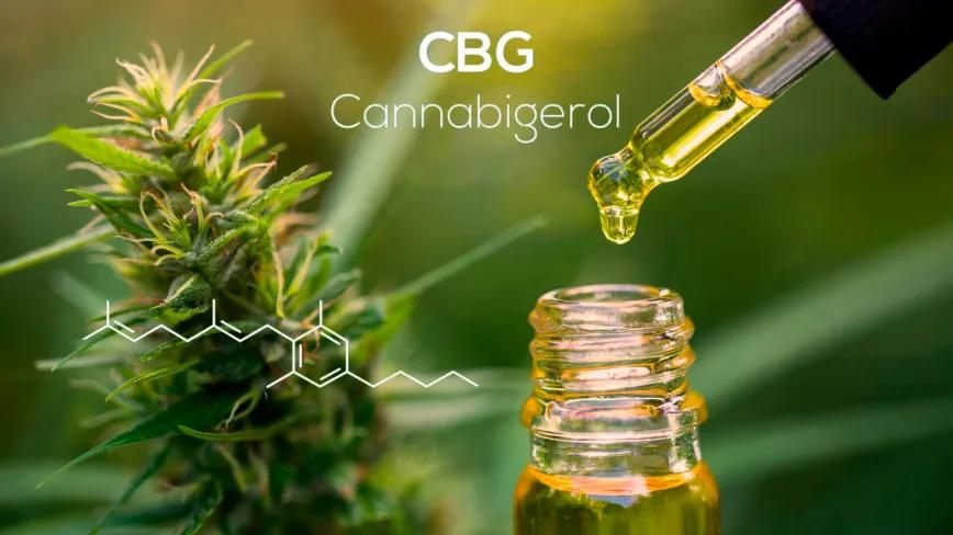 El CBG apunta a buena tolerabilidad y salud en la vejez