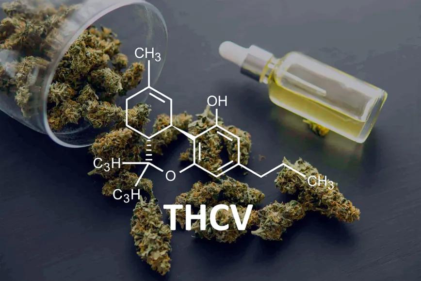 Estudio sugiere potencial analgésico no psicoactivo de CBV y THCV