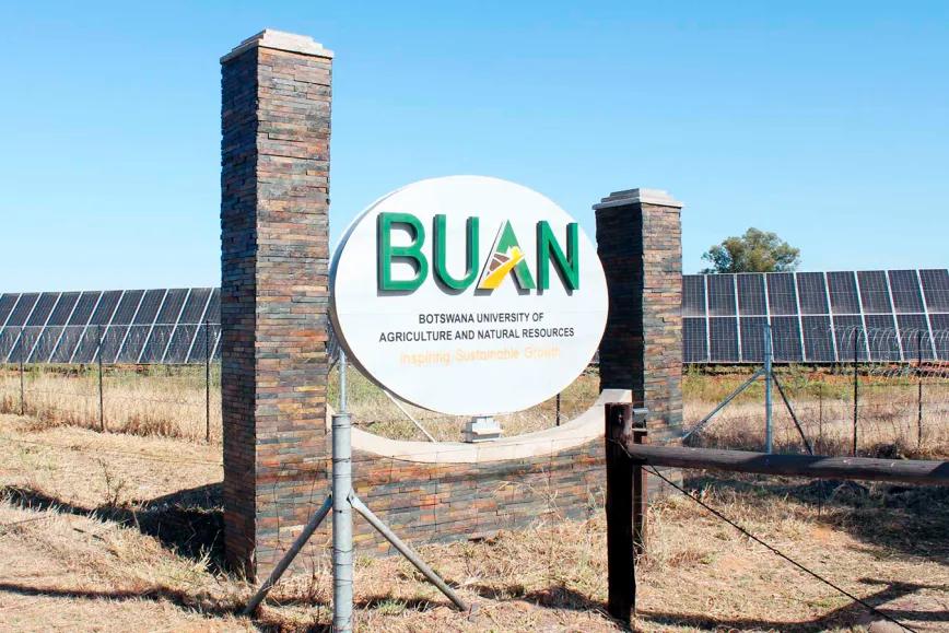  Botsuana inicia ensayos de cultivo de cannabis medicinal