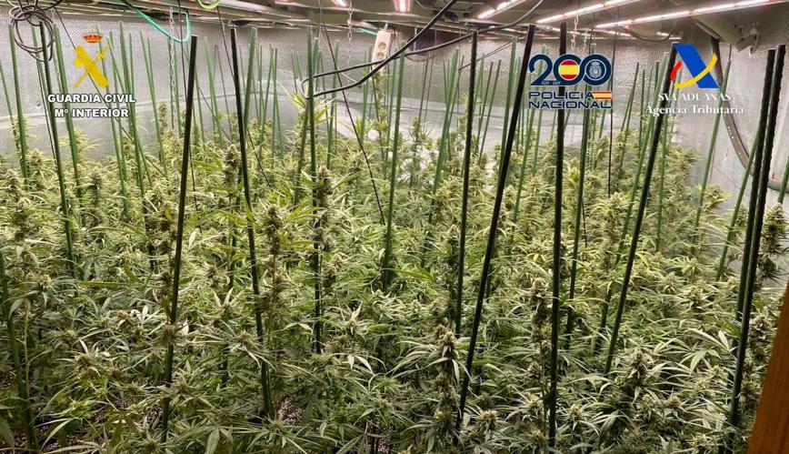 Cae una red Madrid-Toledo que enviaba marihuana al norte de Europa