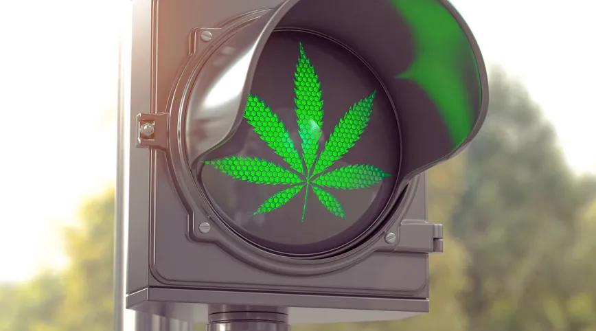 Legalización alemana no ha generado cambios en la conducción vehicular