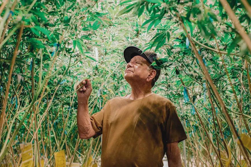 Entrevista con Richard “Cheech” Marin