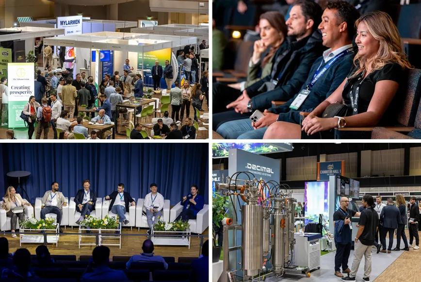 ICBC Berlin Fotografías de Jan Kulke.