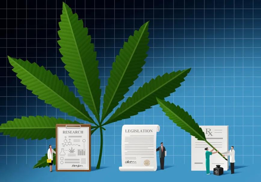 Sesgo de giro inverso: Cuando los datos favorecen al cannabis, pero la conclusión dice “no”