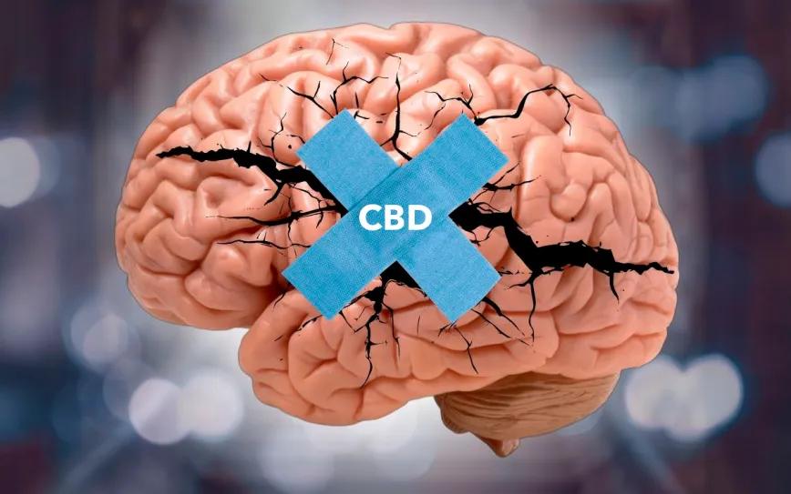 El potencial del CBD después de un traumatismo en la cabeza