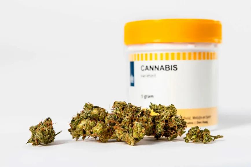 Alemania debate nuevas trabas al cannabis medicinal