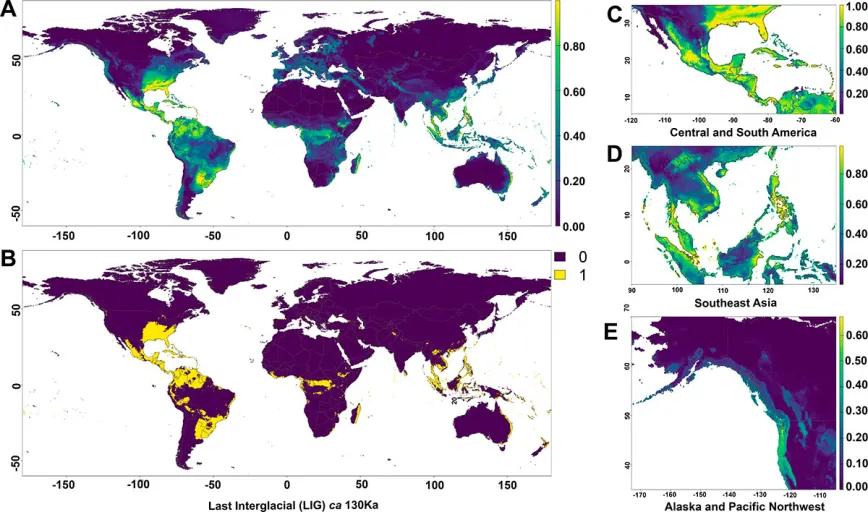 Psilocybe ochraceocentrata