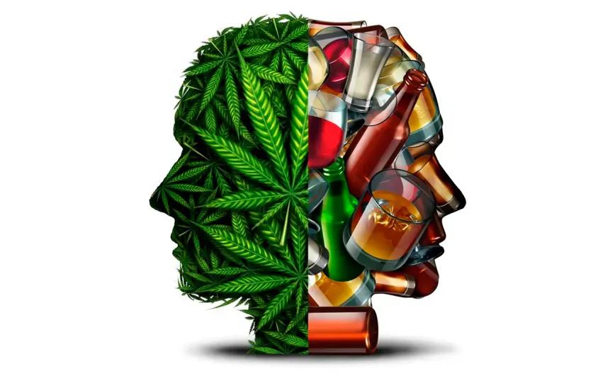 CBN y THCV muestran ventaja frente al CBD contra el alcohol