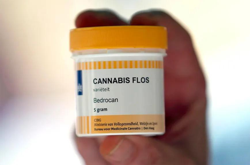 Cannabis medicinal reduce el uso de otros fármacos en Alemania 