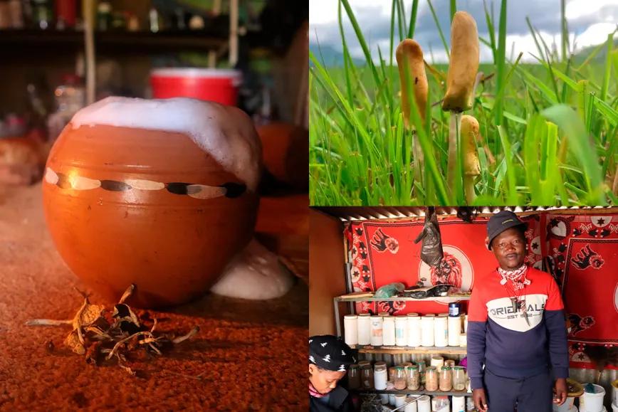 Lesoto documenta una tradición propia de psilocibina