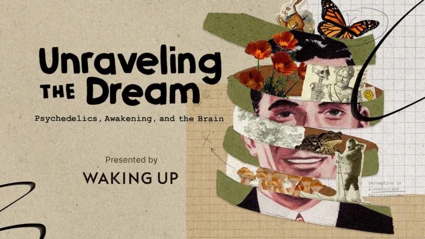 Unraveling the Dream