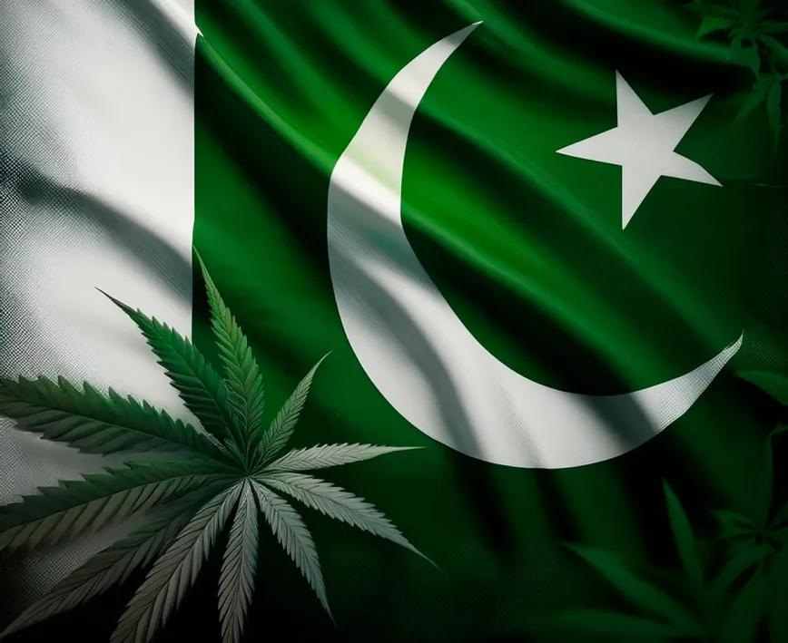 Pakistán destina fondos a regular el cannabis medicinal