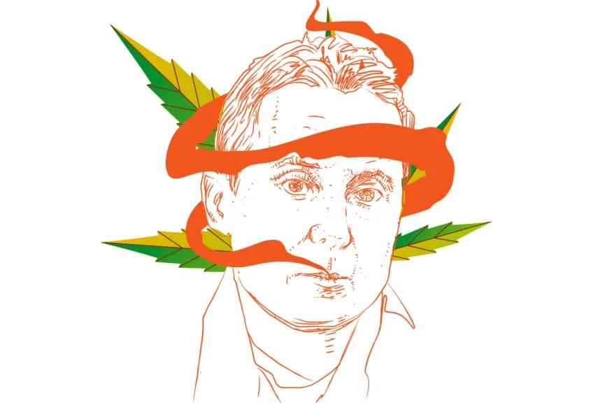 Marihuana: represión, guerra y deserción 