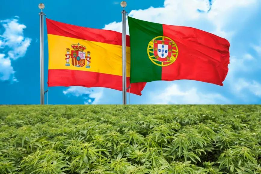 HEMPVALUE activa la cadena ibérica del cáñamo