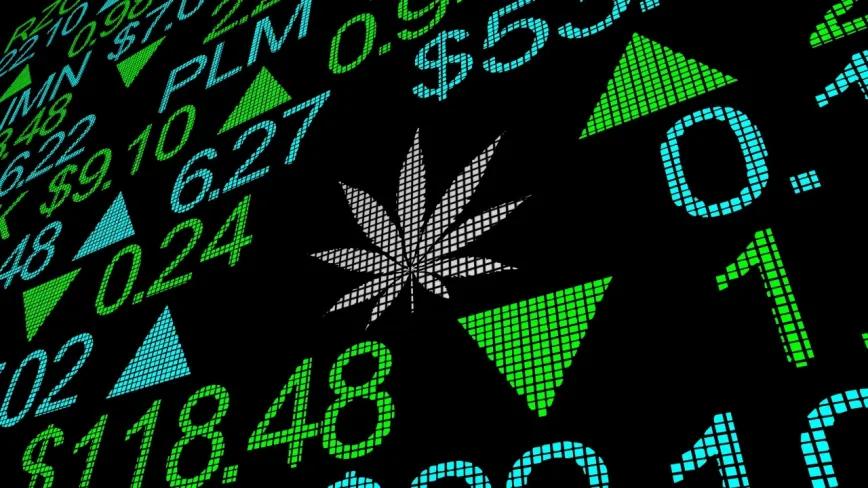 Empresa cannábica llega a la Bolsa de Nueva York