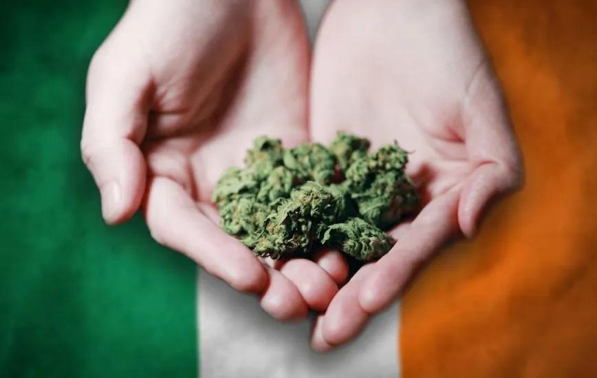 Irlanda propone despenalizar la posesión personal de todas las drogas