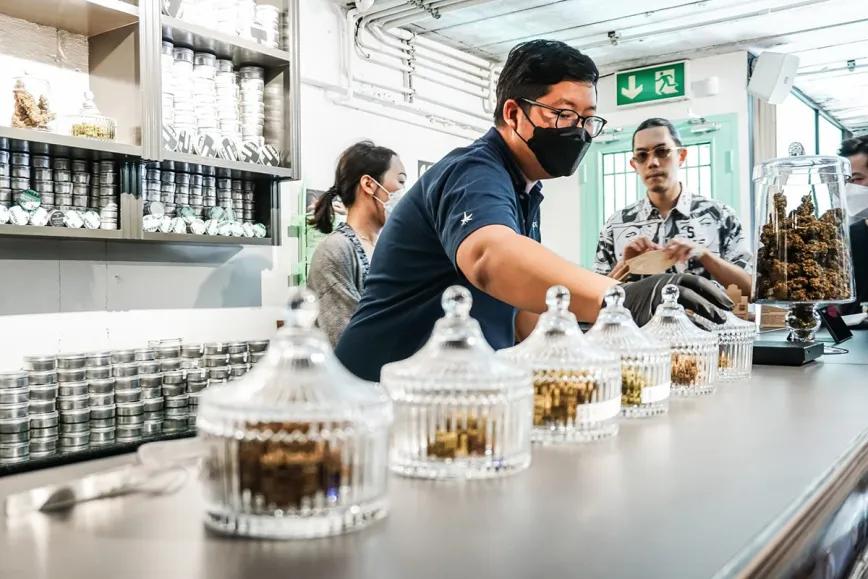 Tailandia fija suspensiones de hasta 90 días para tiendas de cannabis