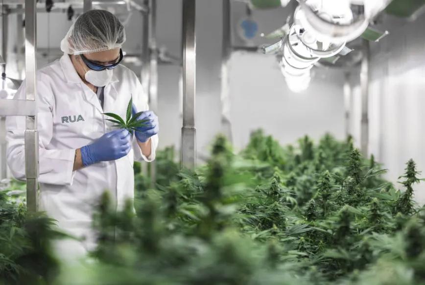 Rua Bioscience firma su mayor acuerdo de exportación al Reino Unido