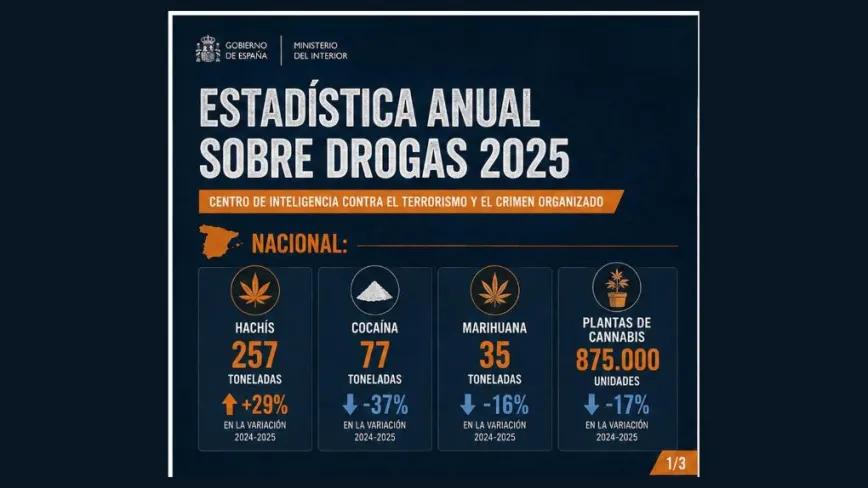 El Ministerio de Interior registra menos cocaína y más hachís y sintéticas