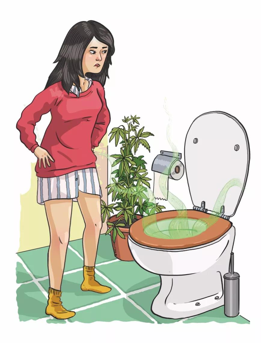 Imagen sin descripción