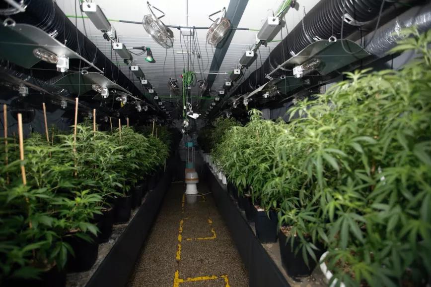 Imagen sin descripción