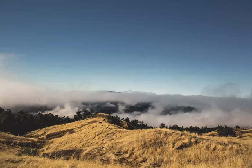 Imagen sin descripción