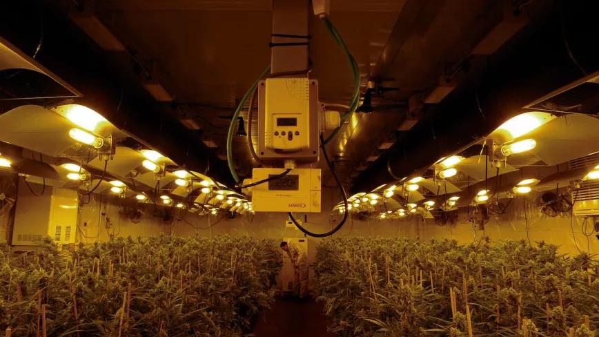 Imagen sin descripción