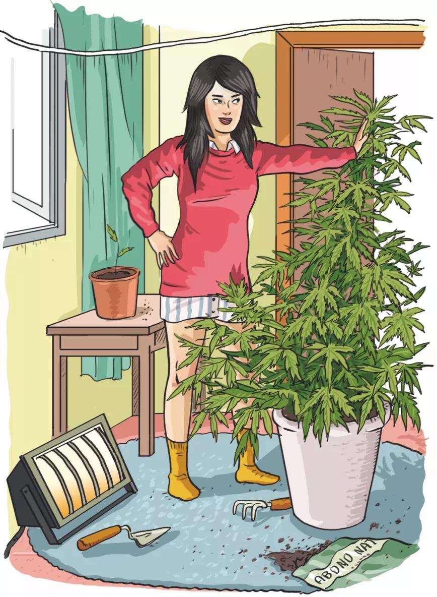 Imagen sin descripción