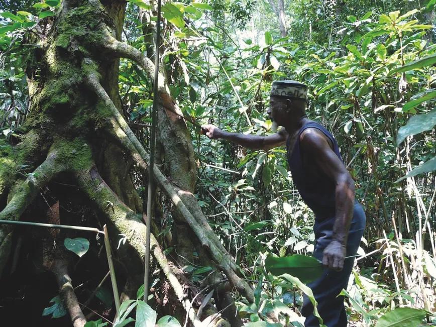 Imagen sin descripción