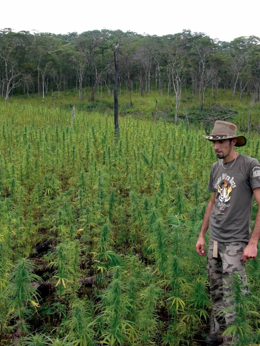 Imagen sin descripción