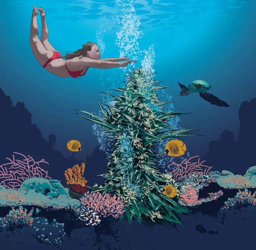 Imagen sin descripción