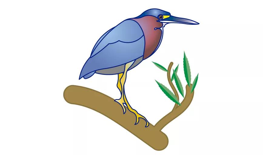 Imagen sin descripción