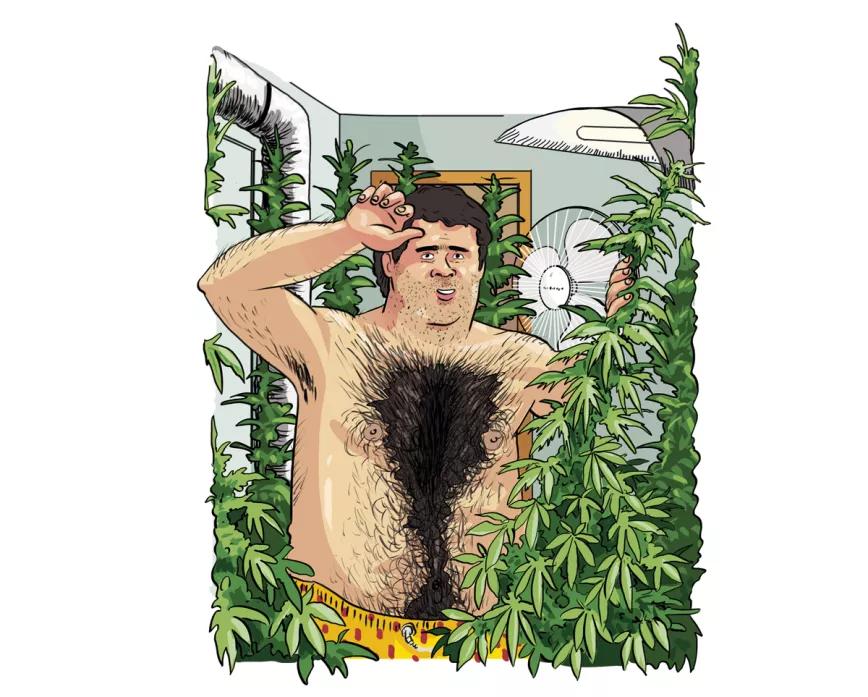 Imagen sin descripción