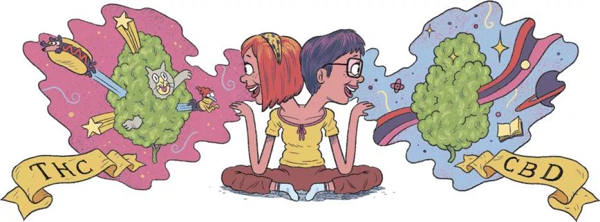 Imagen sin descripción