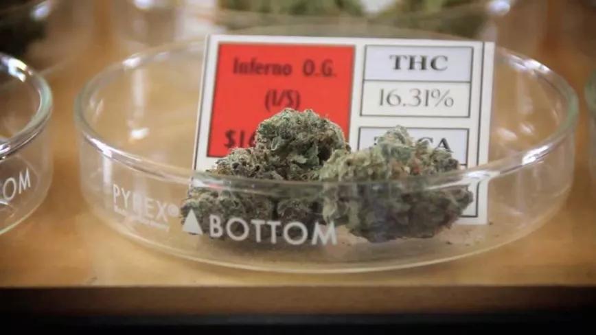 Imagen sin descripción