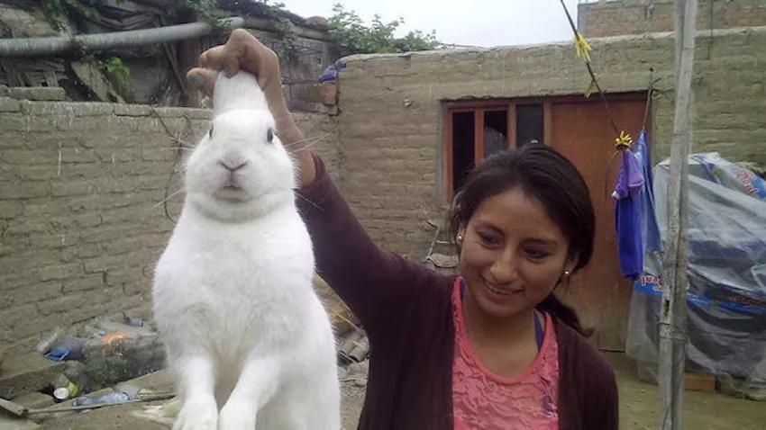 Imagen sin descripción