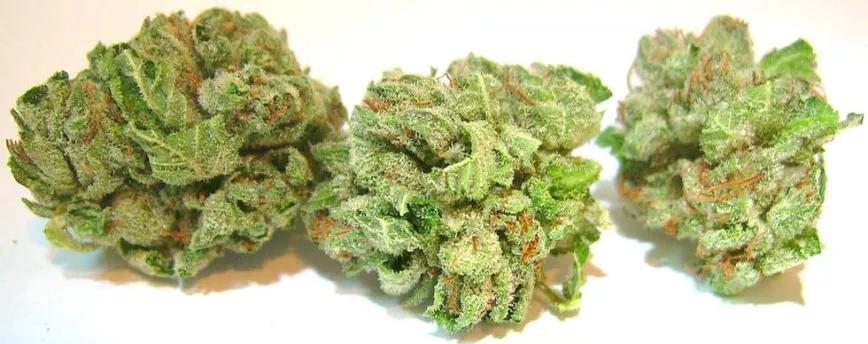 Imagen sin descripción