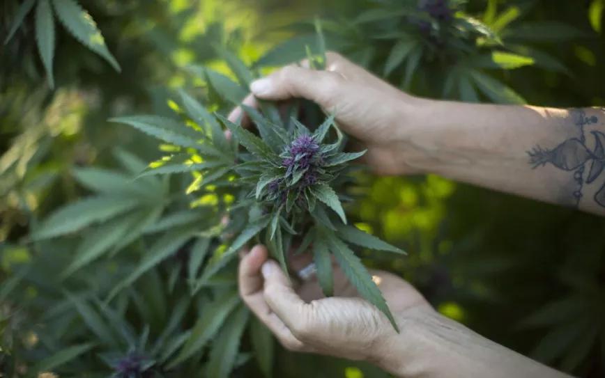 Imagen sin descripción