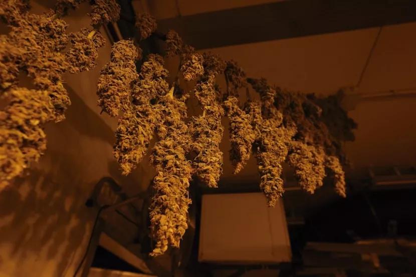 Imagen sin descripción