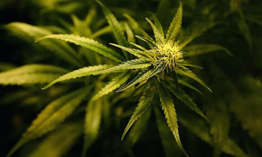 Imagen sin descripción